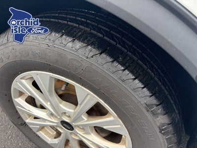 2023 Ford Escape Active
