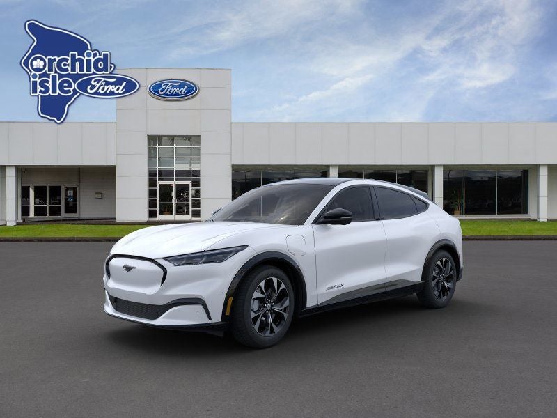2021 Ford Mustang-Mach-e Premium's photo