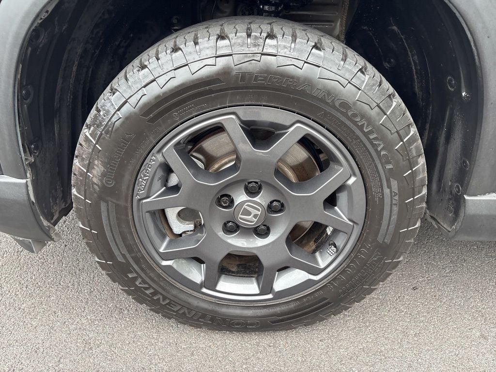 2025 Honda Pilot TrailSport