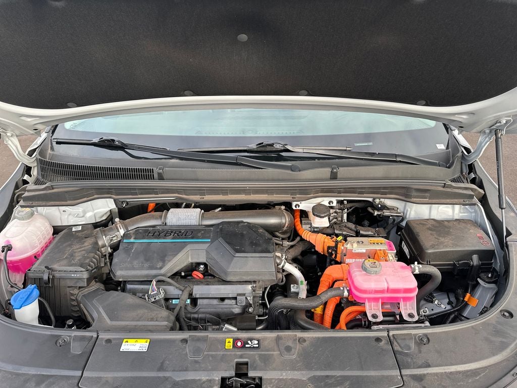 2025 Kia Carnival Hybrid EX